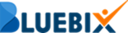 Bluebix Solutions