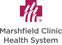 Dickinson County Healthcare System logo
