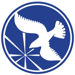 Marshall Browning Hospital logo