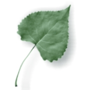 Meridell Achievement Center logo