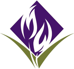 MetroWest Medical Center - Leonard Morse Hospital logo