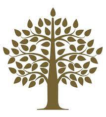 MiraVista Behavioral Health Center logo