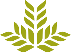 Northeast Georgia Medical Center Lumpkin logo