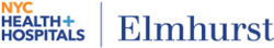 NYC Health + Hospitals Elmhurst logo