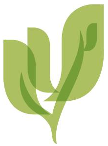 Palo Verde Behavioral Health logo