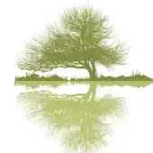 Palo Verde Hospital logo