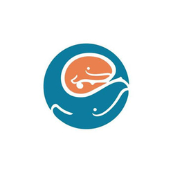 Seattle Children's Hospital & Regional Medical Center