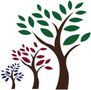 Summit Oaks Hospital logo