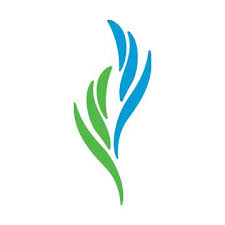 The Carolina Center for Behavioral Health logo