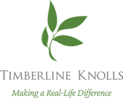 Timberline Knolls Residential Treatment Center logo