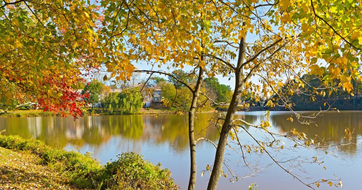 Falls Church, Virginia