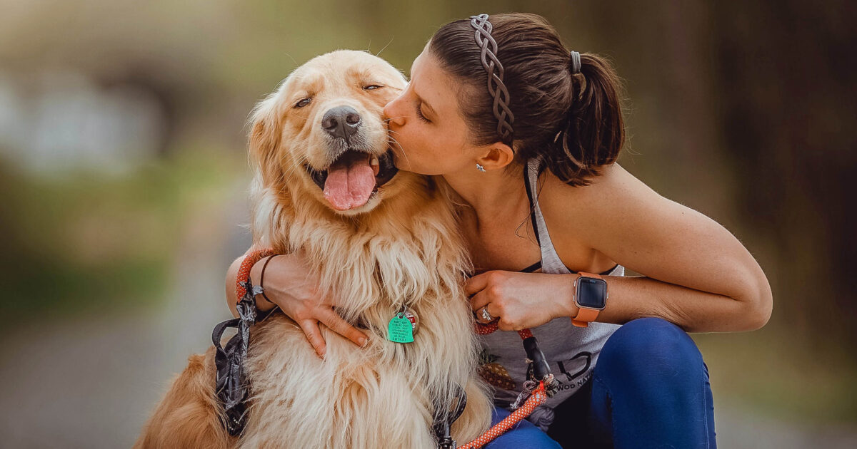 Travel nursing with pets