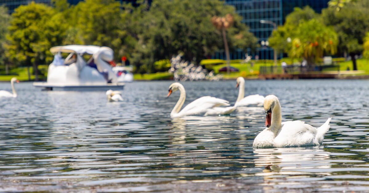 Lake Enola Park - Orlando, FL