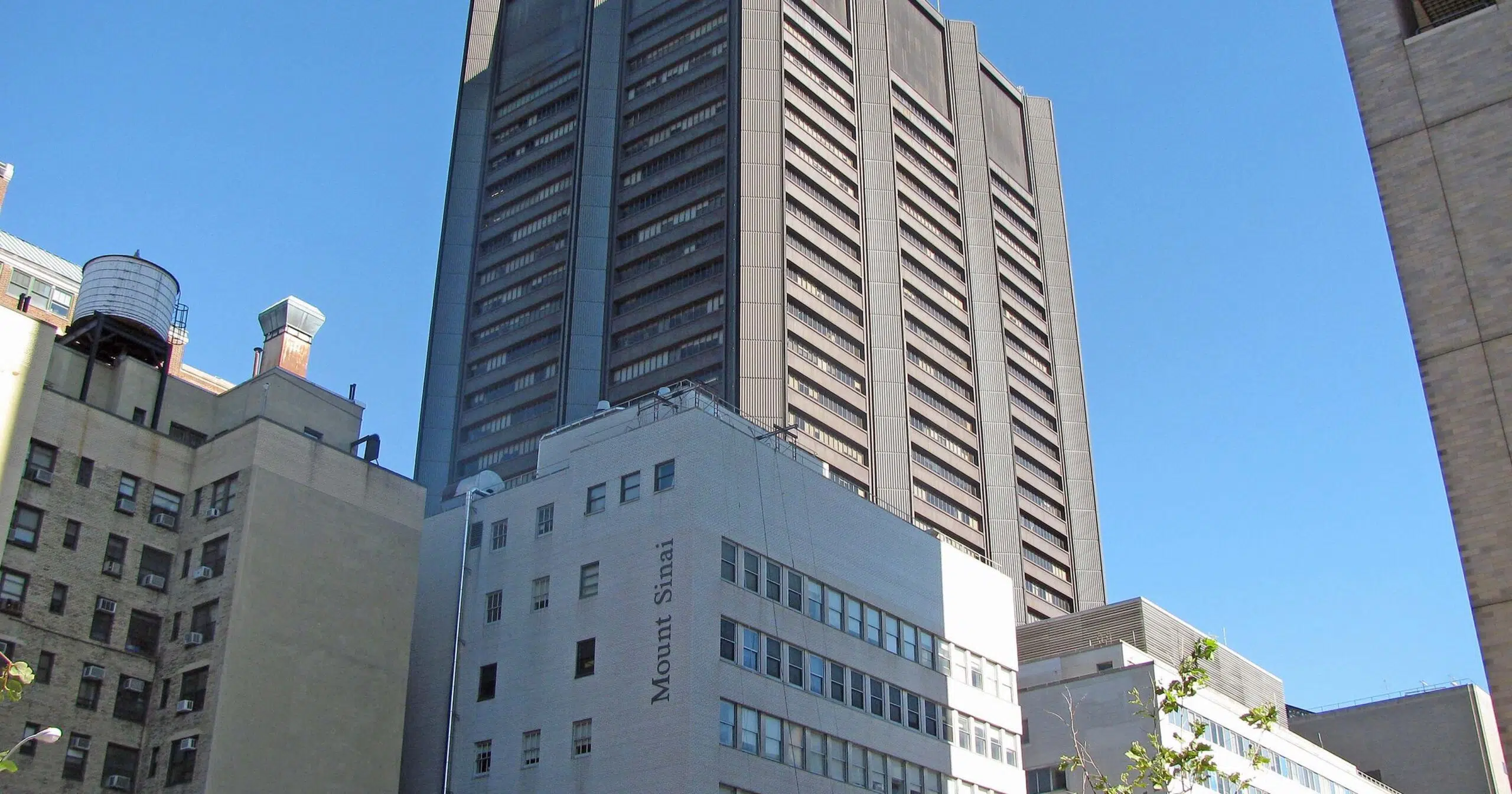 Mount Sinai Hospital - New York